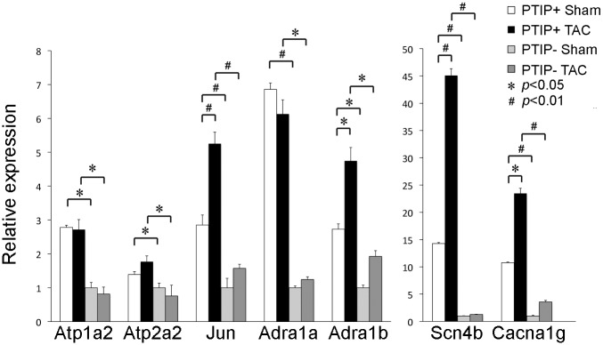 Fig 7