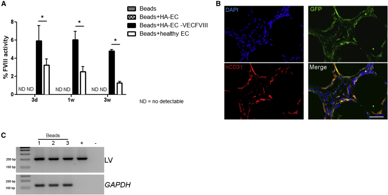 Figure 6