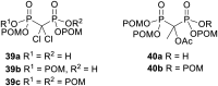 Fig. 13