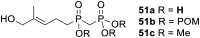 Fig. 17