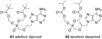 Fig. 19