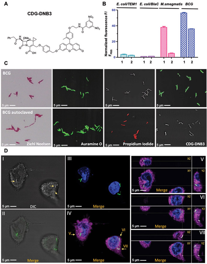 Fig. 4.