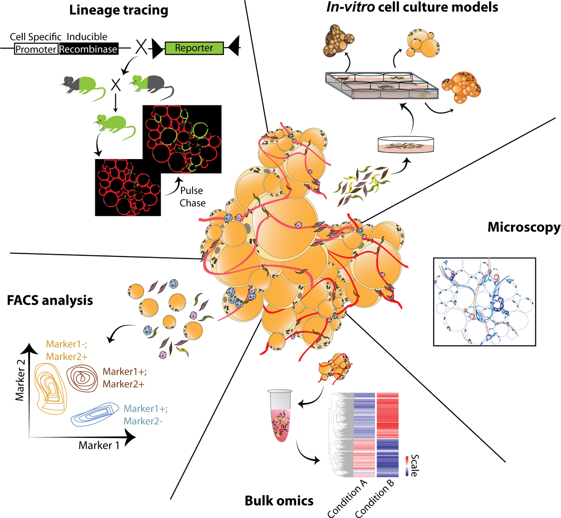 Figure 1: