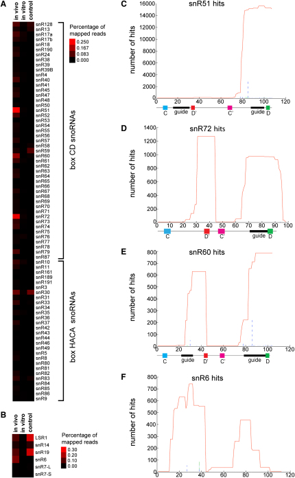 Figure 3