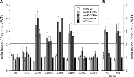 Figure 6