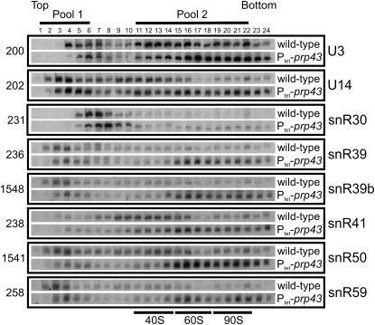 Figure 5