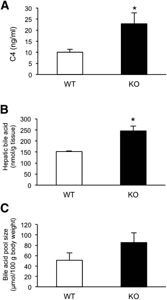 Fig. 6.