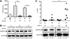 <b>FIG. 4.</b>