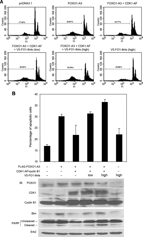 Figure 6