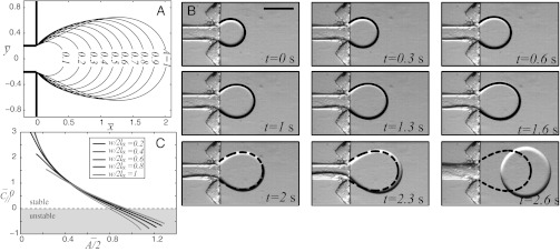 Fig. 6.