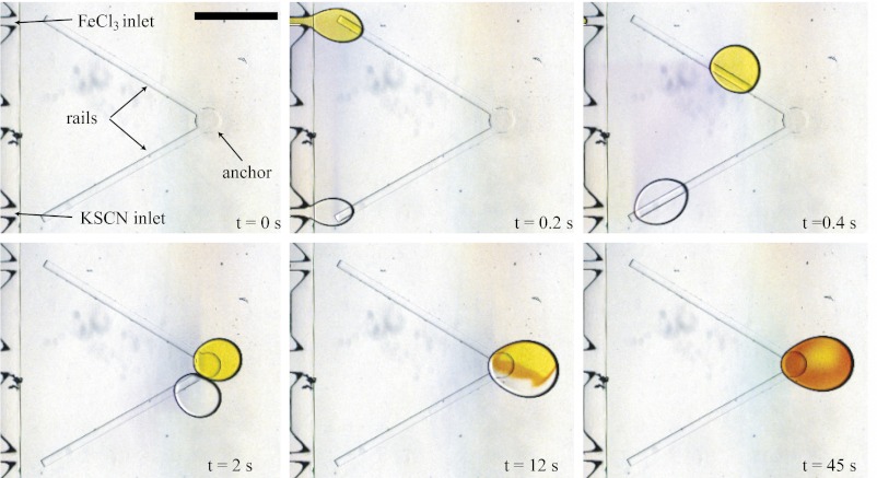 Fig. 3.