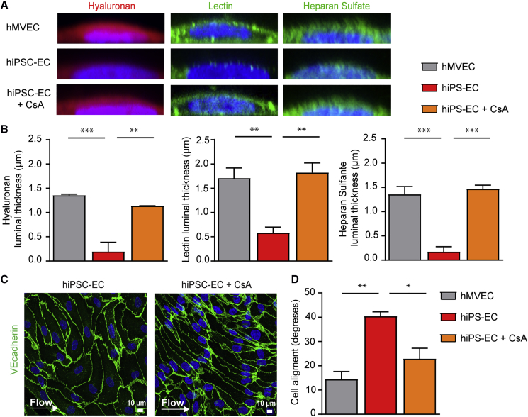 Figure 6