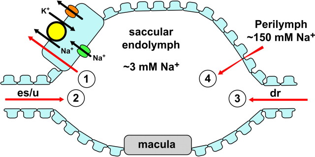 Figure 8.