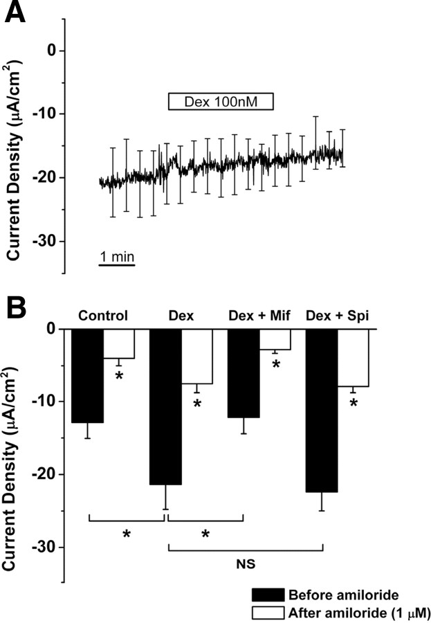 Figure 7.