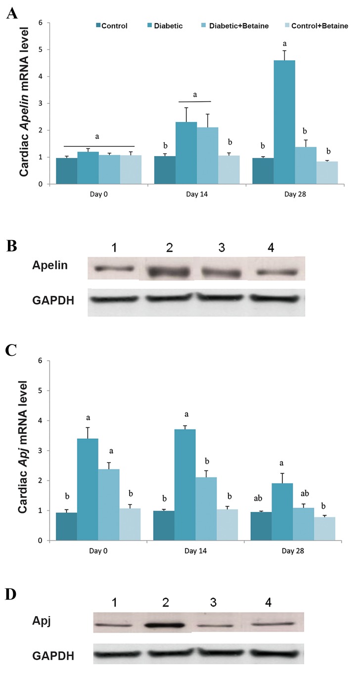 Fig.4