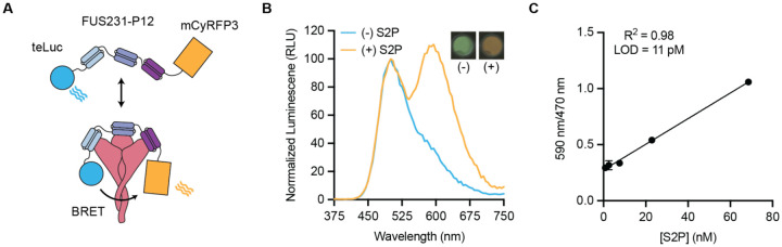 Fig. 3.