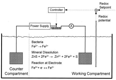 FIG. 1