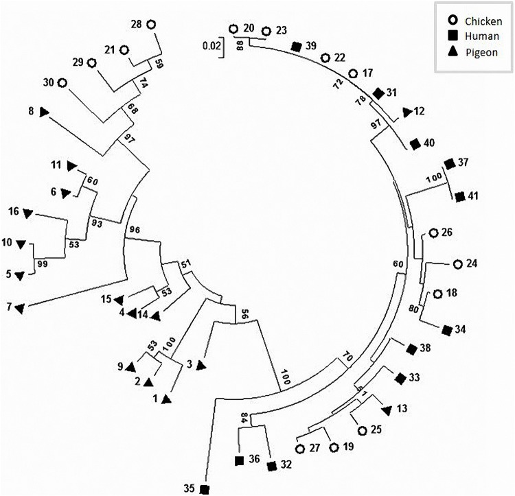 FIGURE 4