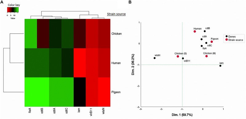 FIGURE 3