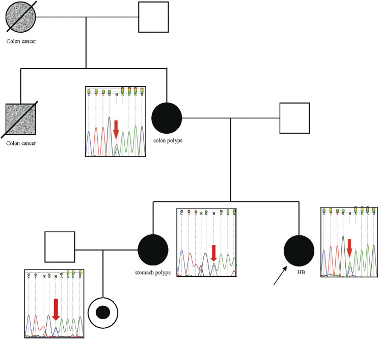 FIGURE 3