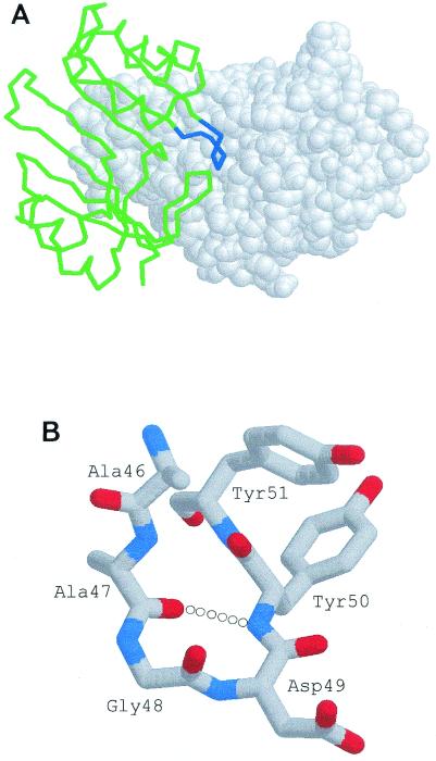 FIG. 1