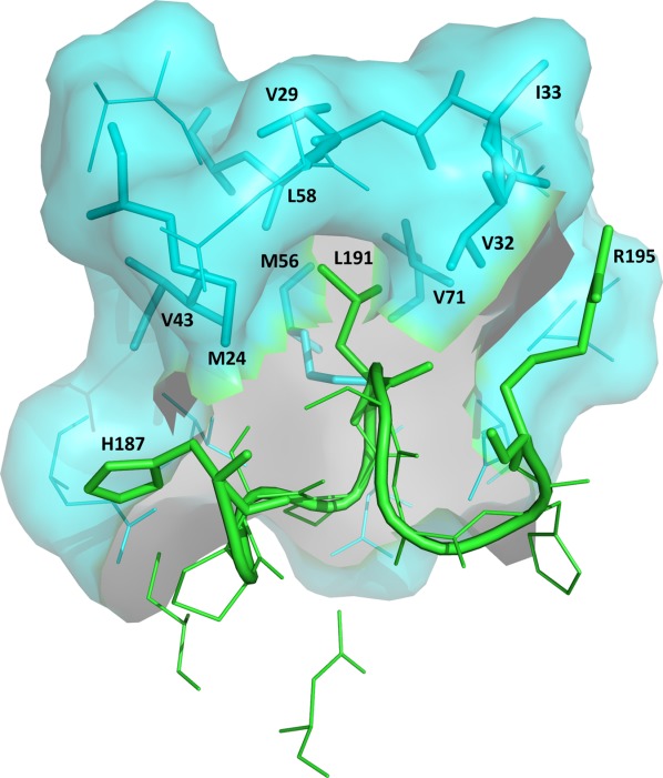 Figure 6