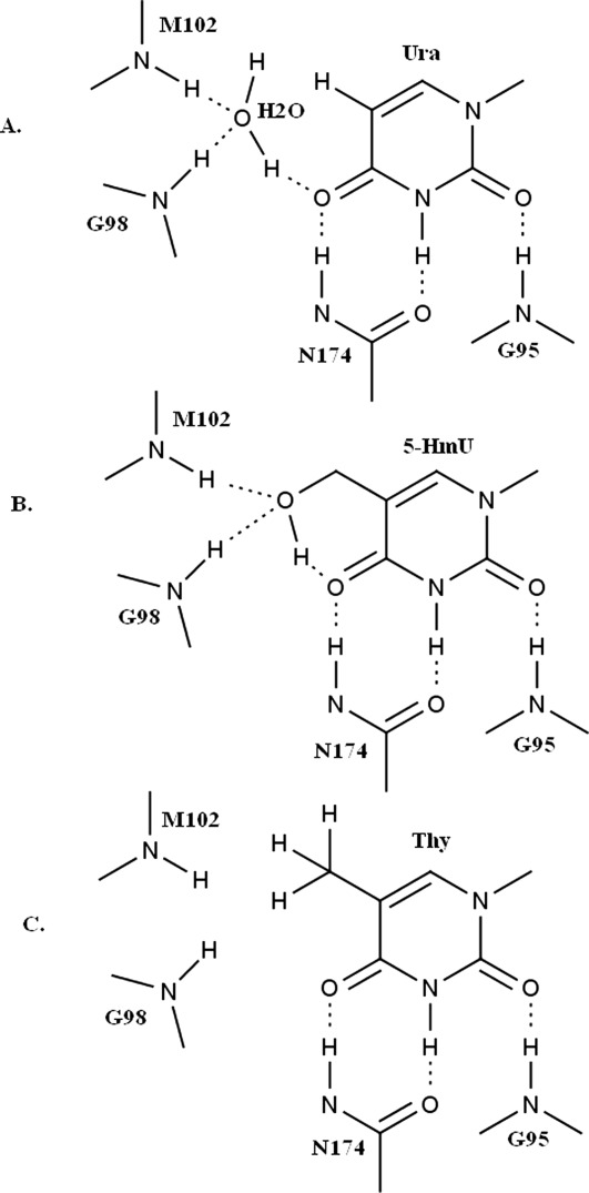 Figure 8