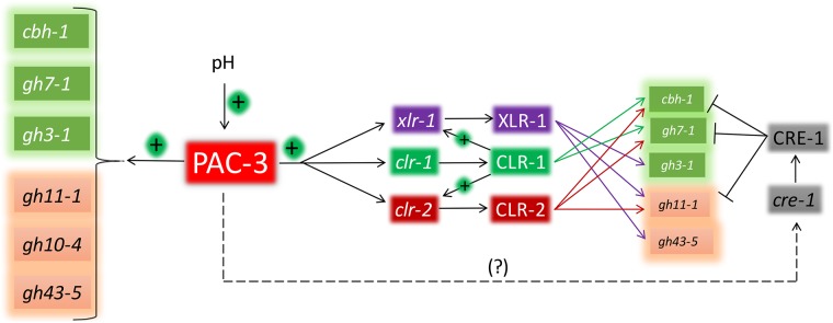 Fig 7