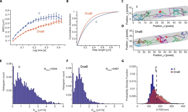 Figure 2—figure supplement 4.