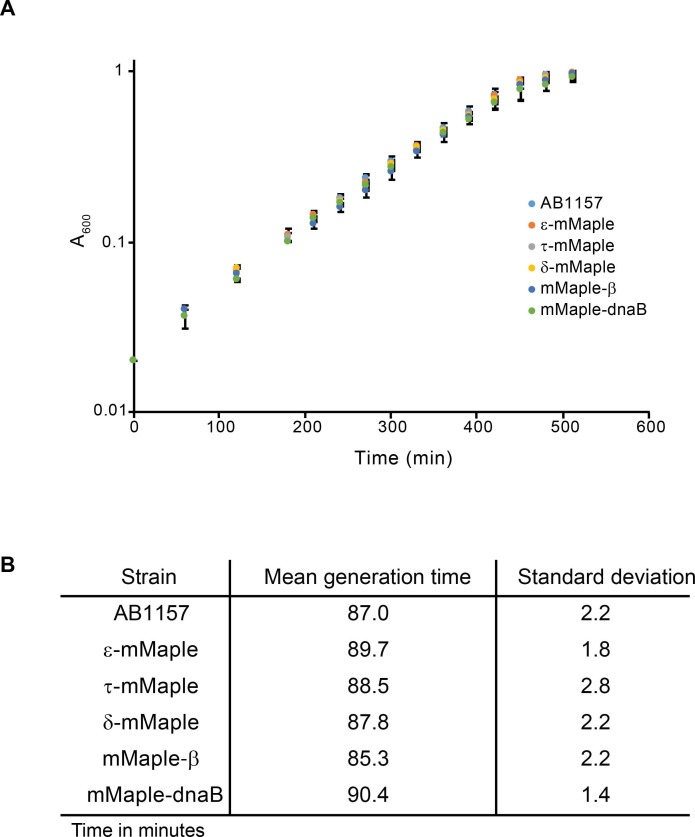 Figure 2—figure supplement 1.