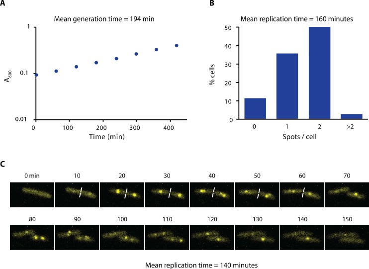 Figure 1—figure supplement 3.