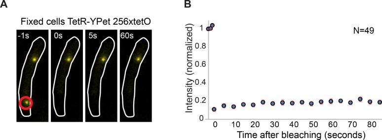 Figure 1—figure supplement 2.