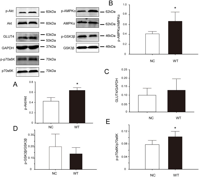 Fig 4