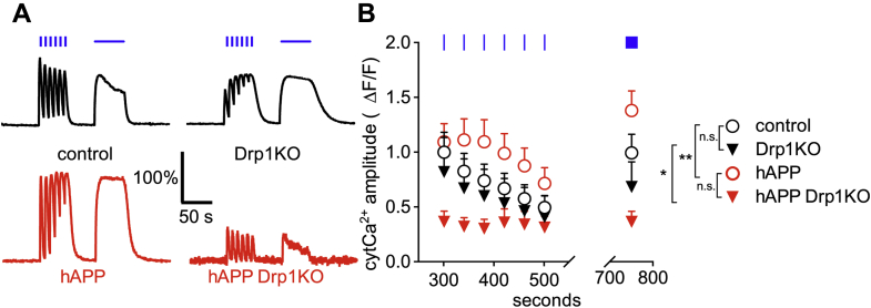 Figure 5