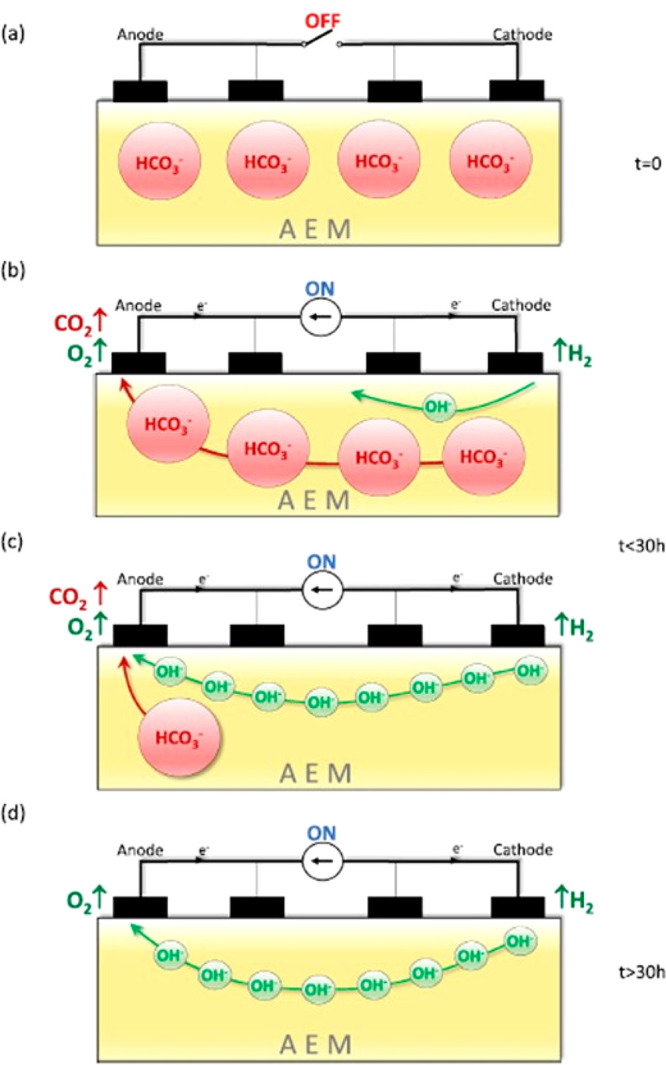 Figure 33