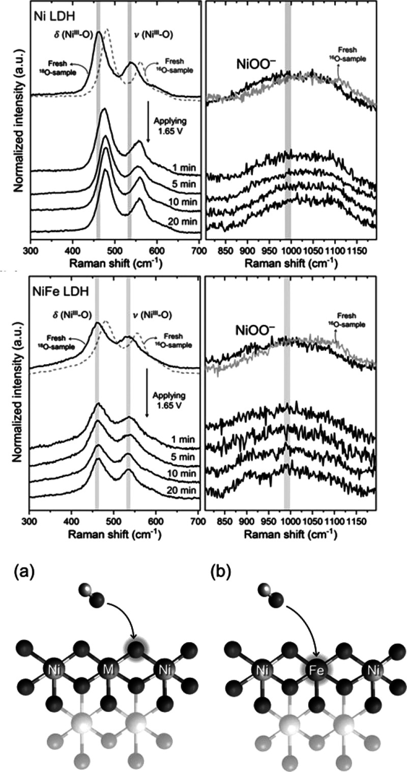 Figure 25