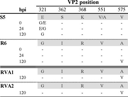 FIG. 5.