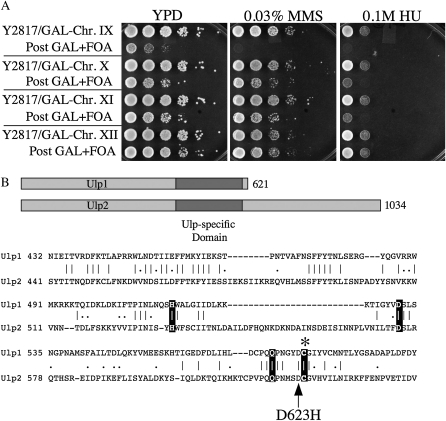 Figure 4.—