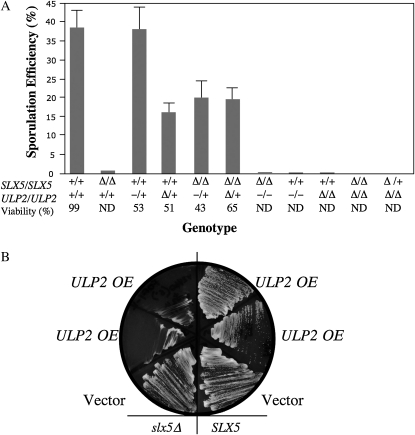 Figure 7.—