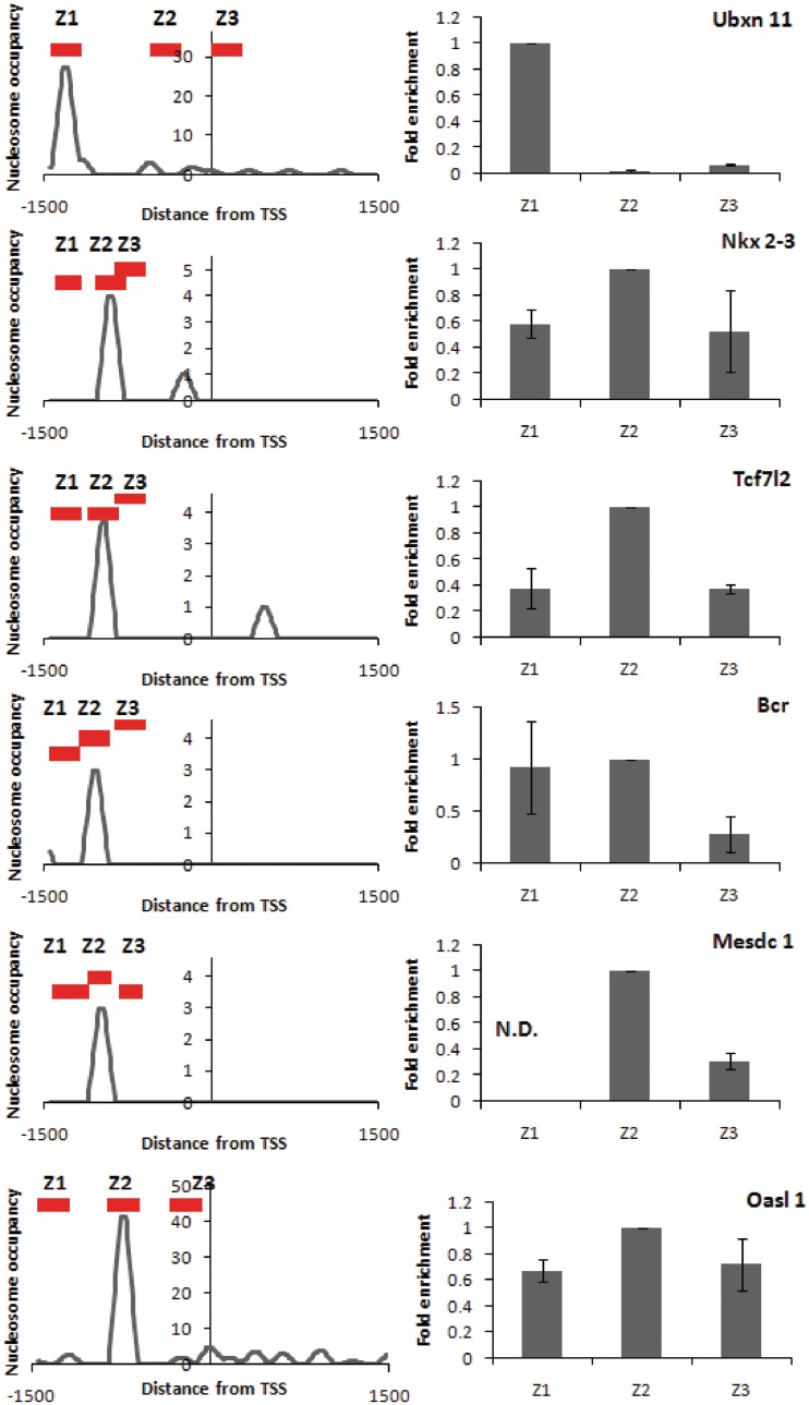 Figure 5.