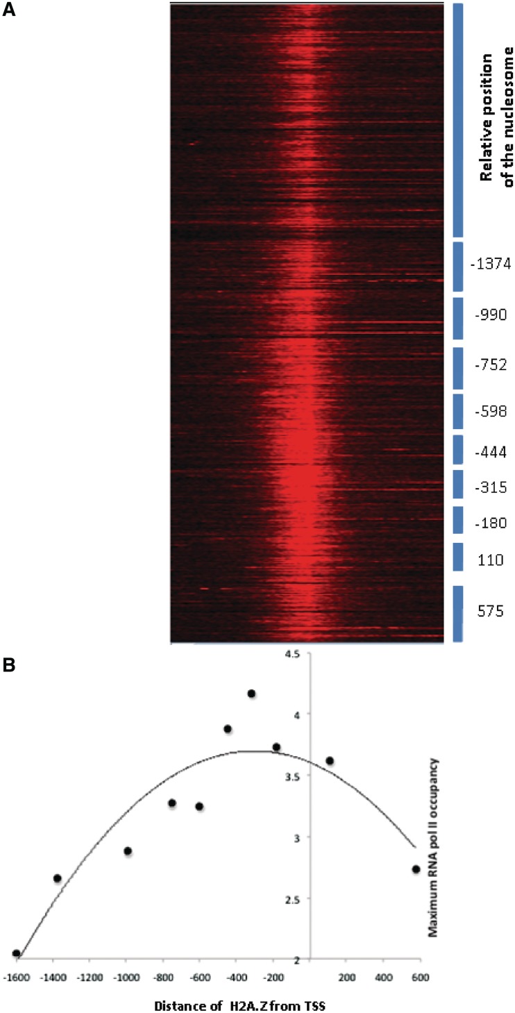 Figure 7.