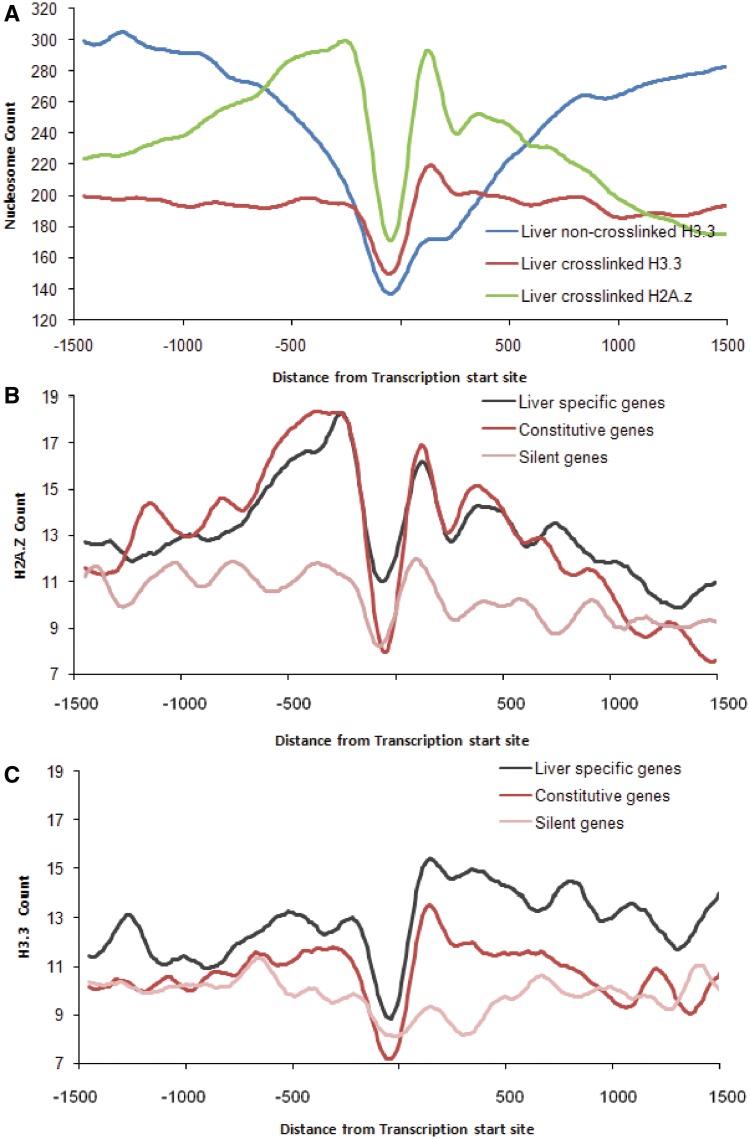 Figure 3.