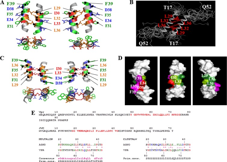 FIG 6