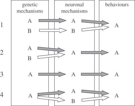 Figure 1.