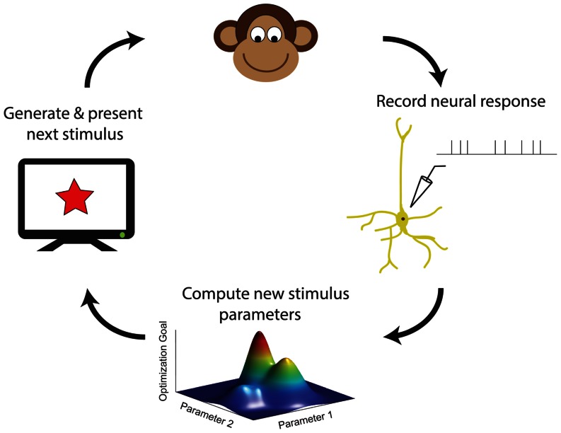 FIGURE 7