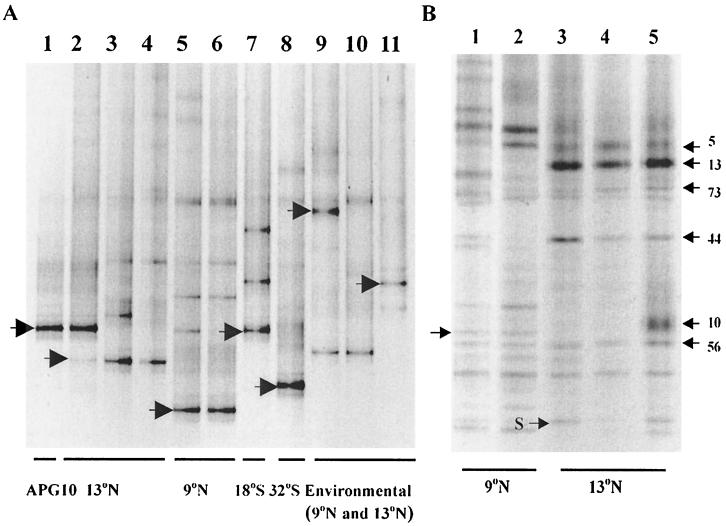 FIG. 3