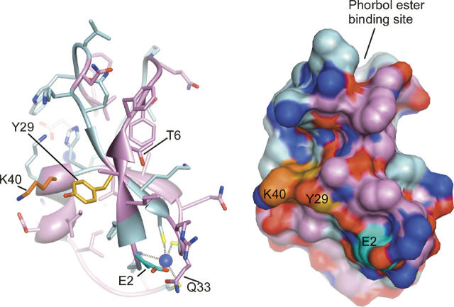 Figure 10.