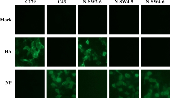 FIG. 2.