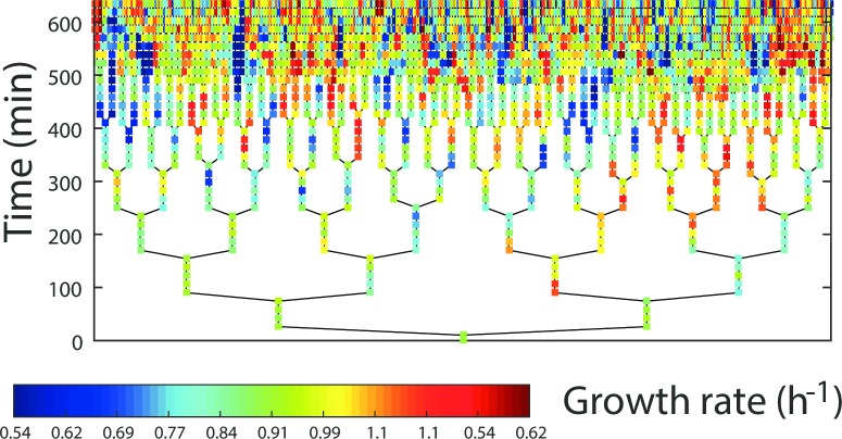 Fig 2