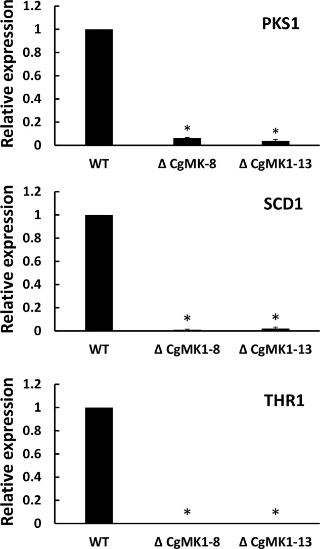 FIGURE 2